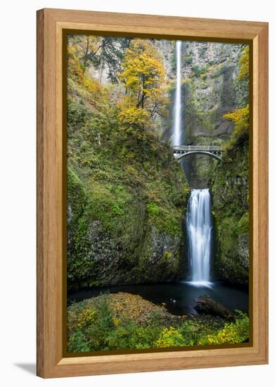 Multnomah Falls in the Columbia Gorge Scenic Area, Oregon, USA-Chuck Haney-Framed Premier Image Canvas