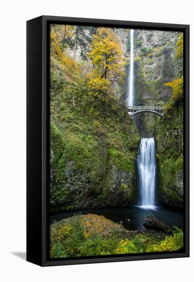 Multnomah Falls in the Columbia Gorge Scenic Area, Oregon, USA-Chuck Haney-Framed Premier Image Canvas