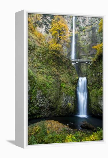 Multnomah Falls in the Columbia Gorge Scenic Area, Oregon, USA-Chuck Haney-Framed Premier Image Canvas