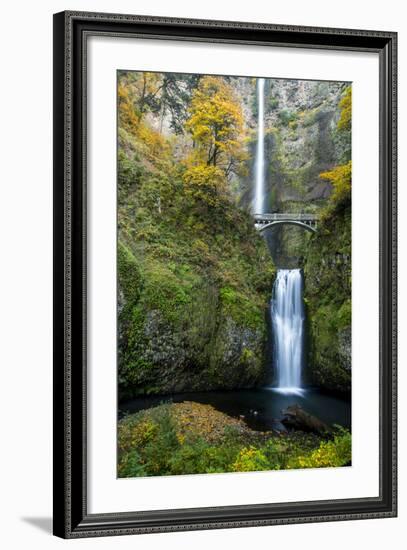 Multnomah Falls in the Columbia Gorge Scenic Area, Oregon, USA-Chuck Haney-Framed Photographic Print