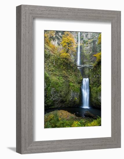 Multnomah Falls in the Columbia Gorge Scenic Area, Oregon, USA-Chuck Haney-Framed Photographic Print