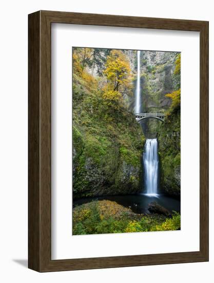 Multnomah Falls in the Columbia Gorge Scenic Area, Oregon, USA-Chuck Haney-Framed Photographic Print