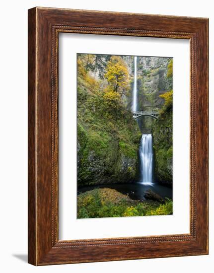 Multnomah Falls in the Columbia Gorge Scenic Area, Oregon, USA-Chuck Haney-Framed Photographic Print