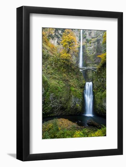 Multnomah Falls in the Columbia Gorge Scenic Area, Oregon, USA-Chuck Haney-Framed Photographic Print