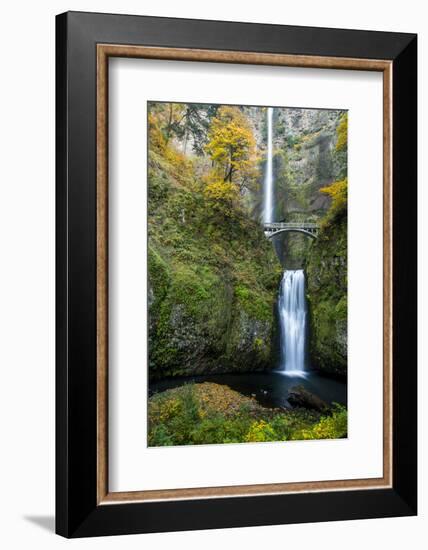 Multnomah Falls in the Columbia Gorge Scenic Area, Oregon, USA-Chuck Haney-Framed Photographic Print