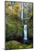 Multnomah Falls in the Columbia Gorge Scenic Area, Oregon, USA-Chuck Haney-Mounted Photographic Print