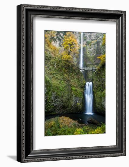 Multnomah Falls in the Columbia Gorge Scenic Area, Oregon, USA-Chuck Haney-Framed Photographic Print