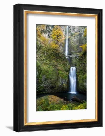 Multnomah Falls in the Columbia Gorge Scenic Area, Oregon, USA-Chuck Haney-Framed Photographic Print