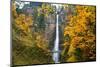 Multnomah Falls in the Columbia River Gorge-Craig Tuttle-Mounted Photographic Print
