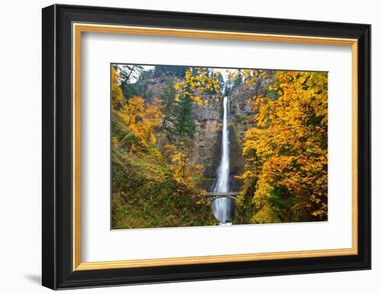 Multnomah Falls in the Columbia River Gorge-Craig Tuttle-Framed Photographic Print