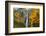 Multnomah Falls in the Columbia River Gorge-Craig Tuttle-Framed Photographic Print