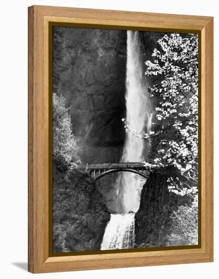Multnomah Falls on Larch Mt. Where the Water Empties into the Columbia River-Alfred Eisenstaedt-Framed Premier Image Canvas