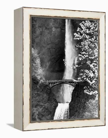 Multnomah Falls on Larch Mt. Where the Water Empties into the Columbia River-Alfred Eisenstaedt-Framed Premier Image Canvas