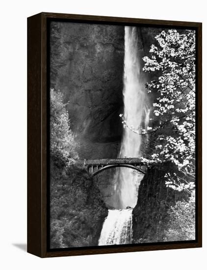 Multnomah Falls on Larch Mt. Where the Water Empties into the Columbia River-Alfred Eisenstaedt-Framed Premier Image Canvas