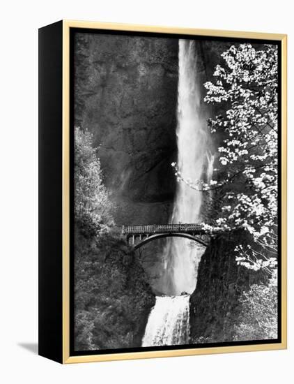 Multnomah Falls on Larch Mt. Where the Water Empties into the Columbia River-Alfred Eisenstaedt-Framed Premier Image Canvas