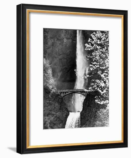 Multnomah Falls on Larch Mt. Where the Water Empties into the Columbia River-Alfred Eisenstaedt-Framed Premium Photographic Print