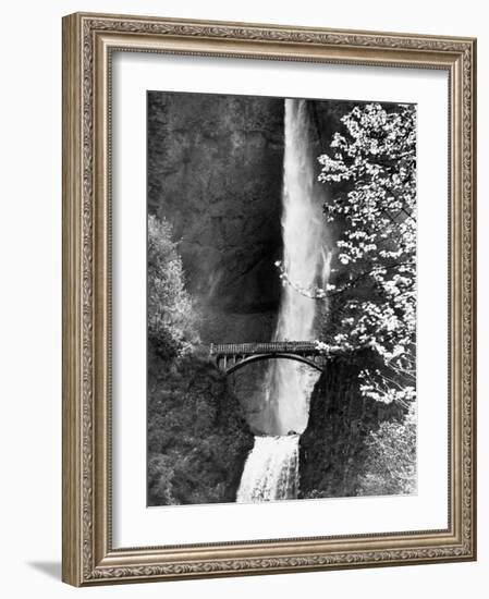 Multnomah Falls on Larch Mt. Where the Water Empties into the Columbia River-Alfred Eisenstaedt-Framed Photographic Print