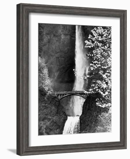 Multnomah Falls on Larch Mt. Where the Water Empties into the Columbia River-Alfred Eisenstaedt-Framed Photographic Print