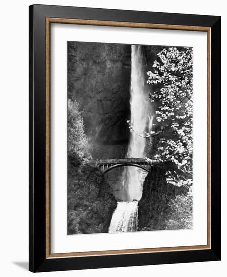 Multnomah Falls on Larch Mt. Where the Water Empties into the Columbia River-Alfred Eisenstaedt-Framed Photographic Print