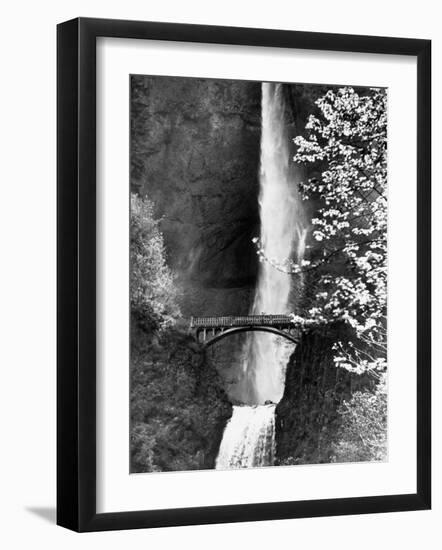 Multnomah Falls on Larch Mt. Where the Water Empties into the Columbia River-Alfred Eisenstaedt-Framed Photographic Print