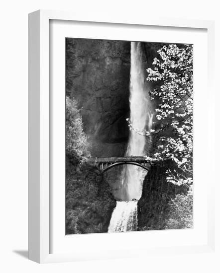 Multnomah Falls on Larch Mt. Where the Water Empties into the Columbia River-Alfred Eisenstaedt-Framed Photographic Print