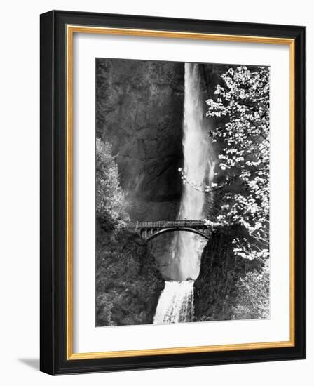 Multnomah Falls on Larch Mt. Where the Water Empties into the Columbia River-Alfred Eisenstaedt-Framed Photographic Print