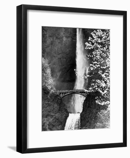 Multnomah Falls on Larch Mt. Where the Water Empties into the Columbia River-Alfred Eisenstaedt-Framed Photographic Print