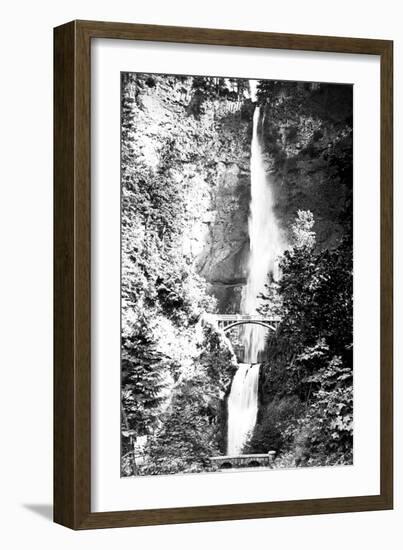 Multnomah Falls Photograph - Columbia River, OR-Lantern Press-Framed Art Print