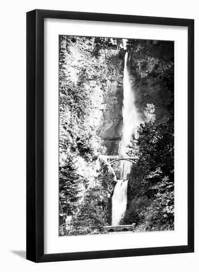 Multnomah Falls Photograph - Columbia River, OR-Lantern Press-Framed Art Print