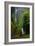 Multnomah Falls Spring-Ike Leahy-Framed Photographic Print