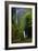 Multnomah Falls Spring-Ike Leahy-Framed Photographic Print