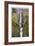 Multnomah Falls-Donald Paulson-Framed Giclee Print