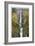 Multnomah Falls-Donald Paulson-Framed Giclee Print