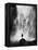 Multnomah Falls-Alfred Eisenstaedt-Framed Premier Image Canvas