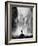 Multnomah Falls-Alfred Eisenstaedt-Framed Photographic Print