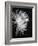 Mum II-Farrell Douglass-Framed Giclee Print