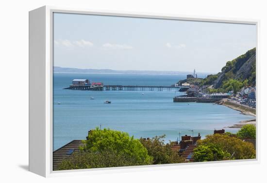 Mumbles Lighthouse, Mumbles Pier, Mumbles, Gower, Swansea, Wales, United Kingdom, Europe-Billy Stock-Framed Premier Image Canvas