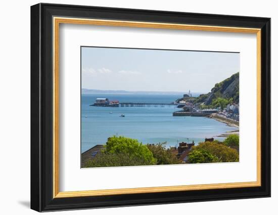 Mumbles Lighthouse, Mumbles Pier, Mumbles, Gower, Swansea, Wales, United Kingdom, Europe-Billy Stock-Framed Photographic Print