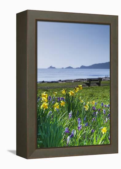 Mumbles, Swansea, Wales, United Kingdom, Europe-Billy-Framed Premier Image Canvas