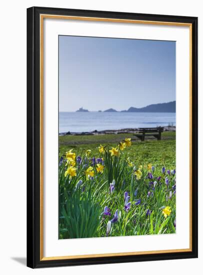 Mumbles, Swansea, Wales, United Kingdom, Europe-Billy-Framed Photographic Print