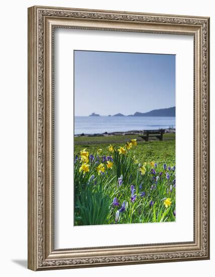 Mumbles, Swansea, Wales, United Kingdom, Europe-Billy-Framed Photographic Print