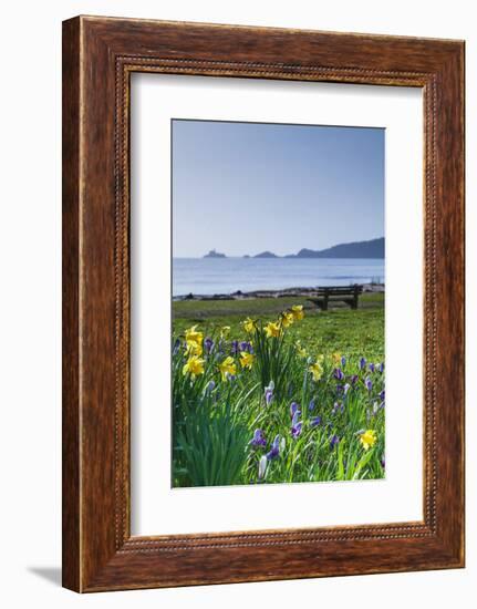 Mumbles, Swansea, Wales, United Kingdom, Europe-Billy-Framed Photographic Print