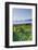 Mumbles, Swansea, Wales, United Kingdom, Europe-Billy-Framed Photographic Print