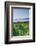 Mumbles, Swansea, Wales, United Kingdom, Europe-Billy-Framed Photographic Print