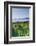 Mumbles, Swansea, Wales, United Kingdom, Europe-Billy-Framed Photographic Print