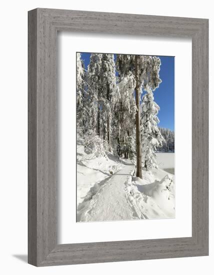 Mummelsee Lake in winter, Black Forest, Baden Wurttemberg, Germany, Europe-Markus Lange-Framed Photographic Print