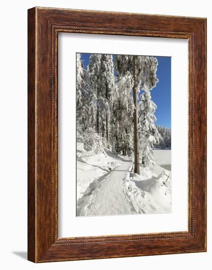 Mummelsee Lake in winter, Black Forest, Baden Wurttemberg, Germany, Europe-Markus Lange-Framed Photographic Print