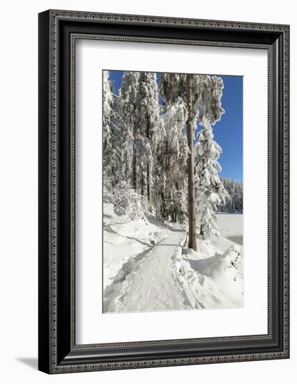 Mummelsee Lake in winter, Black Forest, Baden Wurttemberg, Germany, Europe-Markus Lange-Framed Photographic Print