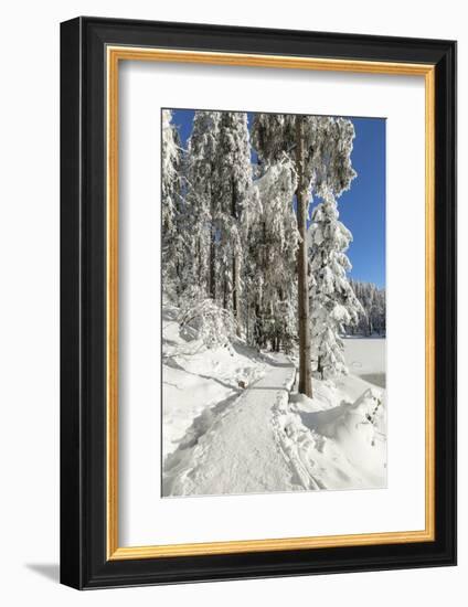 Mummelsee Lake in winter, Black Forest, Baden Wurttemberg, Germany, Europe-Markus Lange-Framed Photographic Print