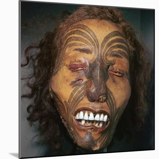 Mummified head of a Maori Chief-Unknown-Mounted Giclee Print